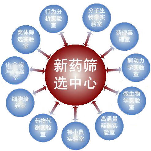 新药 1.png