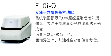 平台 2.png