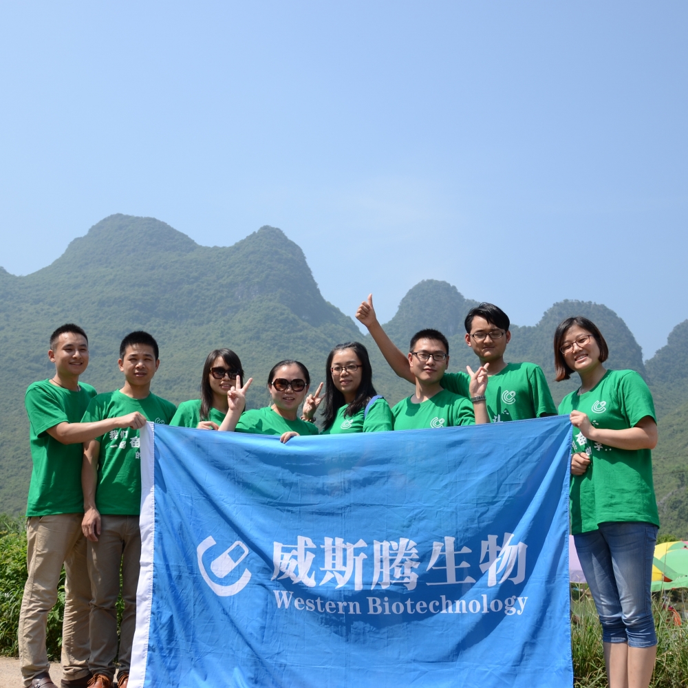 点击进入：2015优秀员工桂林游 照片集