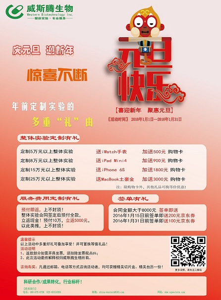 1月元旦促销海报.jpg