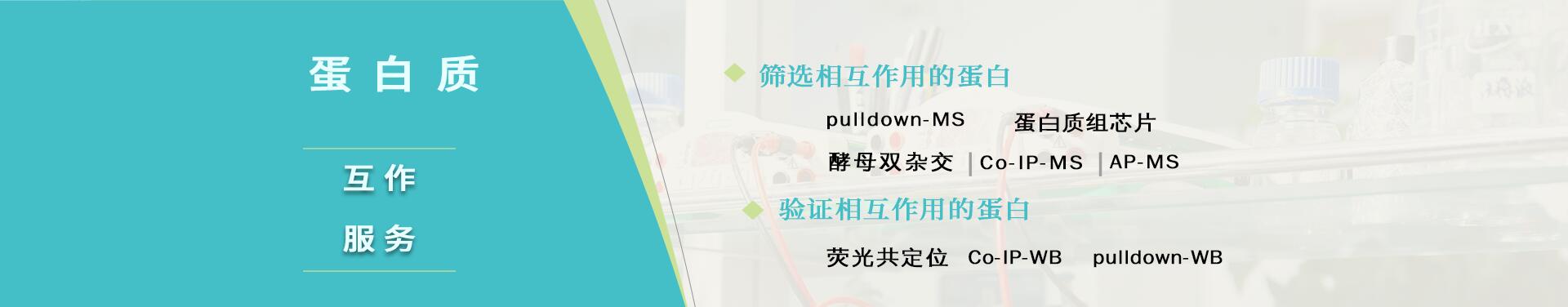 蛋白互作